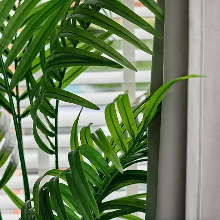 Apartment View: Stylish 2-bedroom With Netflix And Ev Charging