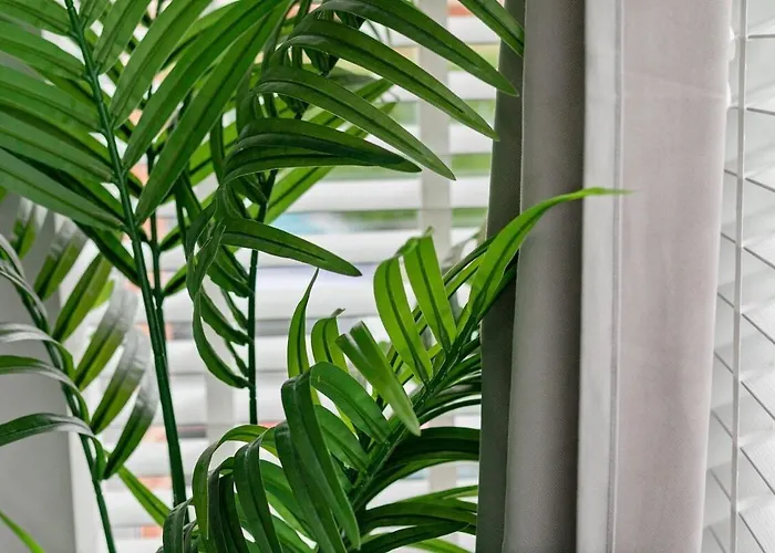 Apartment View: Stylish 2-bedroom With Netflix And Ev Charging